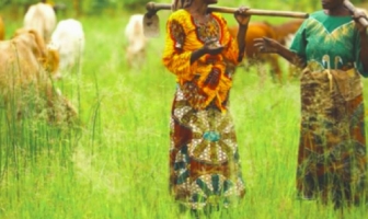 FIGHTING POVERTY IN AFRICA: IMPROVING AGRICULTURE PRODUCTIVITY