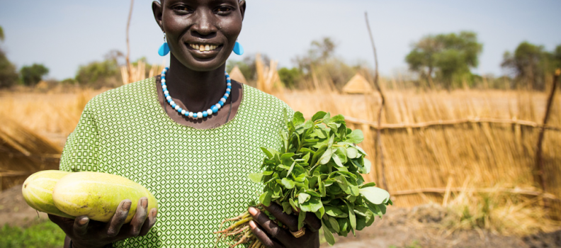 SOUTH SUDAN FOOD SECURITY PROJECT (SSFSP)