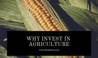 Why invest in Agriculture